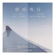 环球飞行