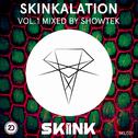 Skinkalation, Vol. 1专辑