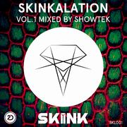 Skinkalation, Vol. 1