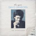 Then Again: The David Sanborn Anthology专辑