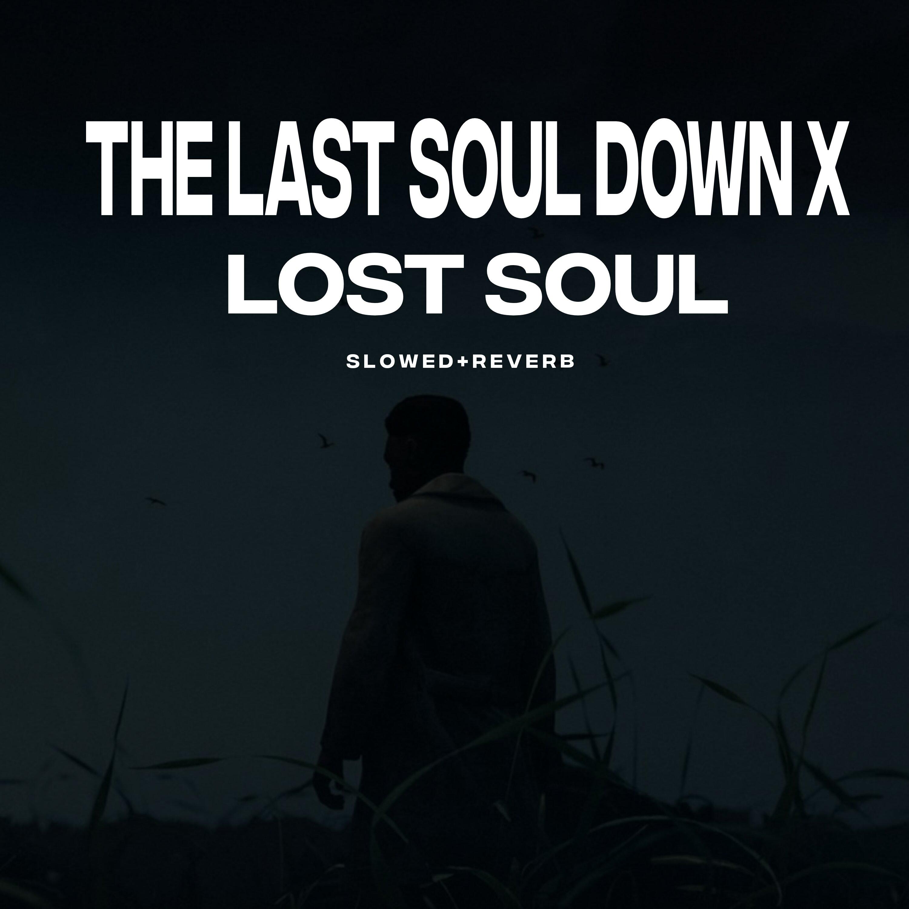 The Last Soul Down X Lost Soul