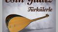 Türkülerle专辑