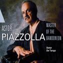 Astor Piazzolla Vol. 5专辑