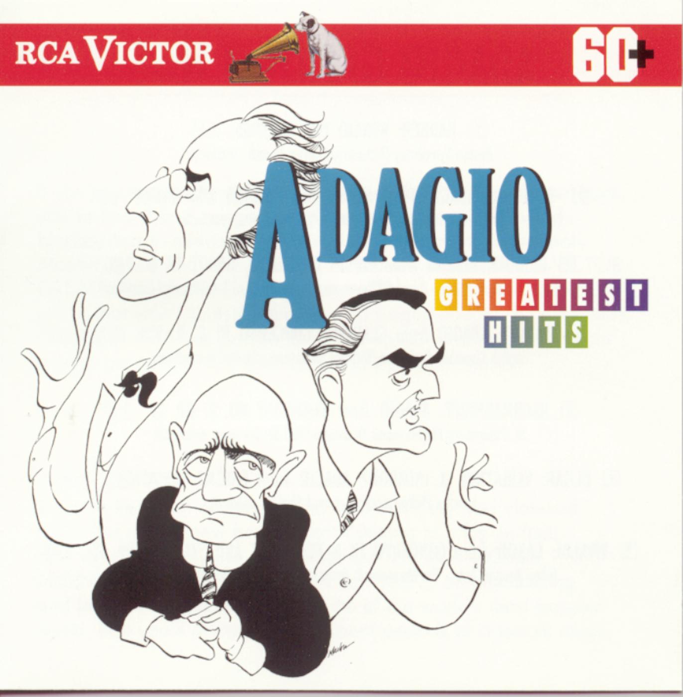 Adagio in G Minor for Strings and Organ
