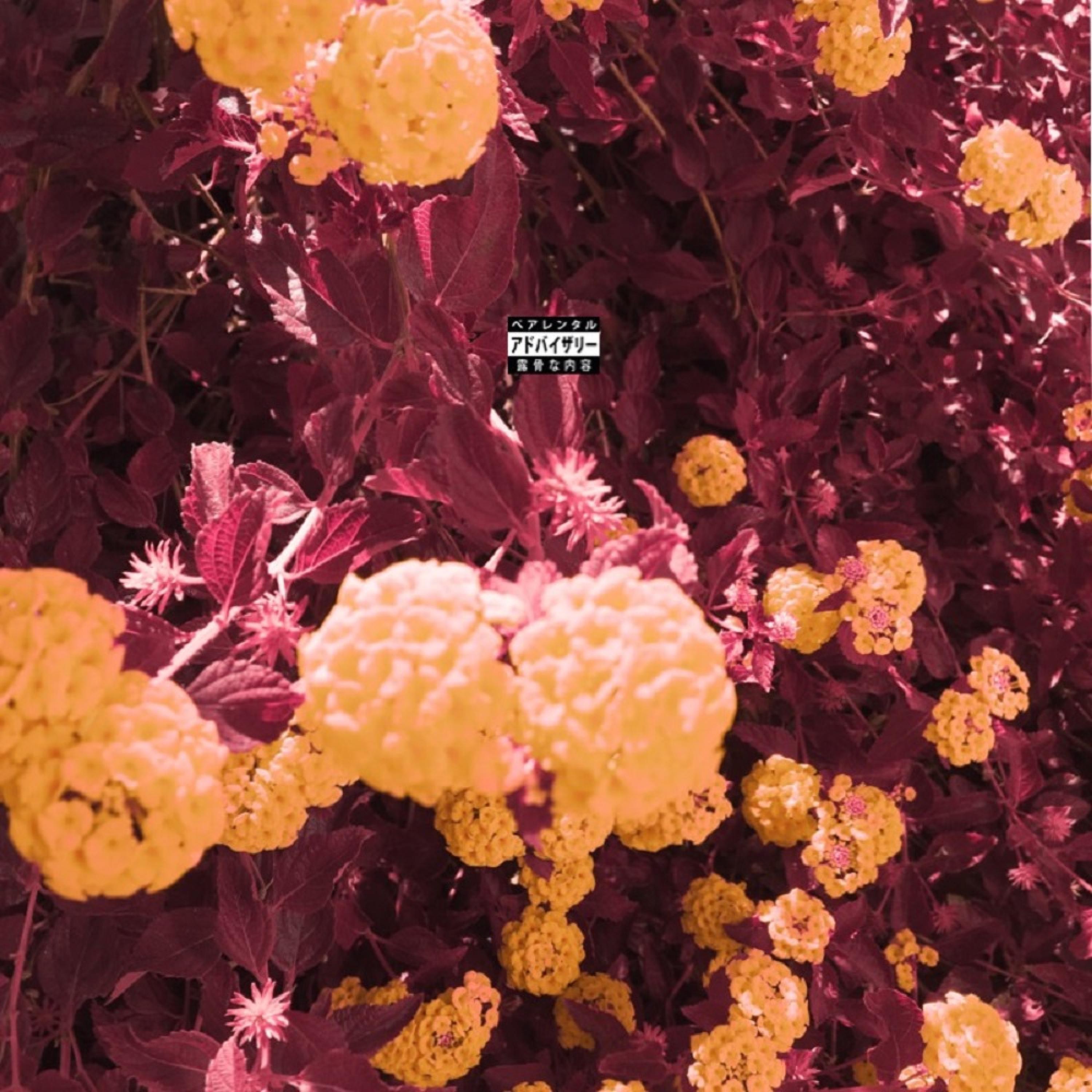 The Way it Is (feat. Emory)