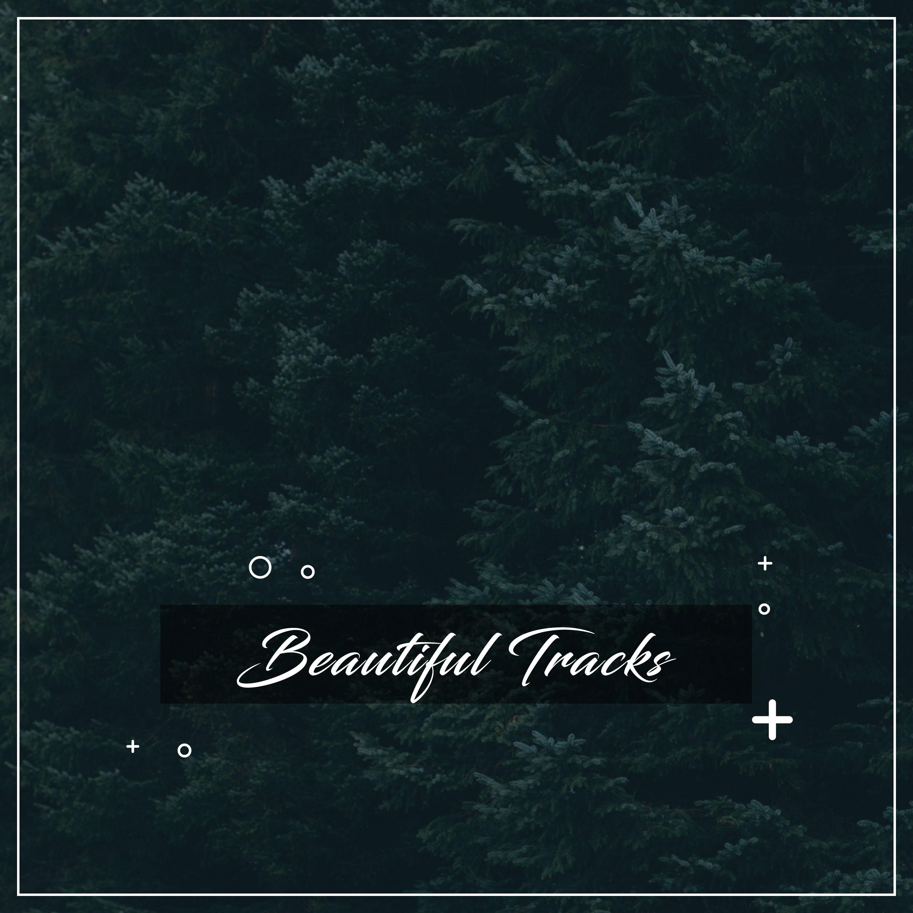 #20 Beautiful Tracks to Calm your Brain专辑