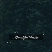 #20 Beautiful Tracks to Calm your Brain
