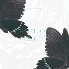 玉带凤蝶Papilio polytes（ft.hozic）