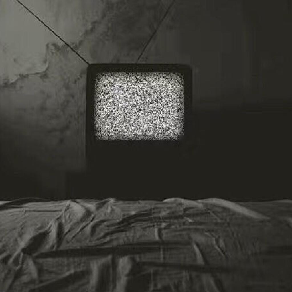 想做爱情的傻瓜