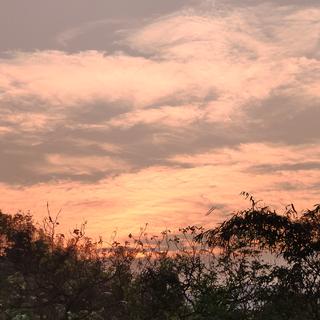 一个射手座男孩的歌单