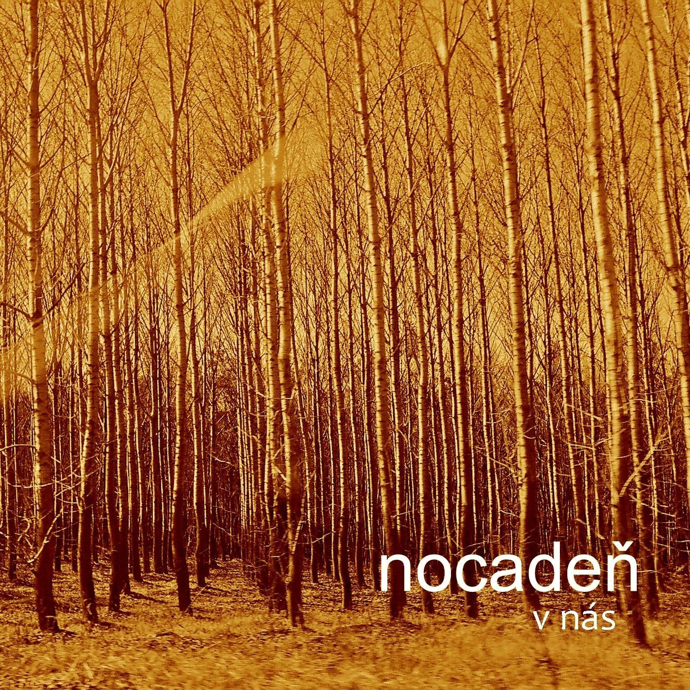 V Nas
