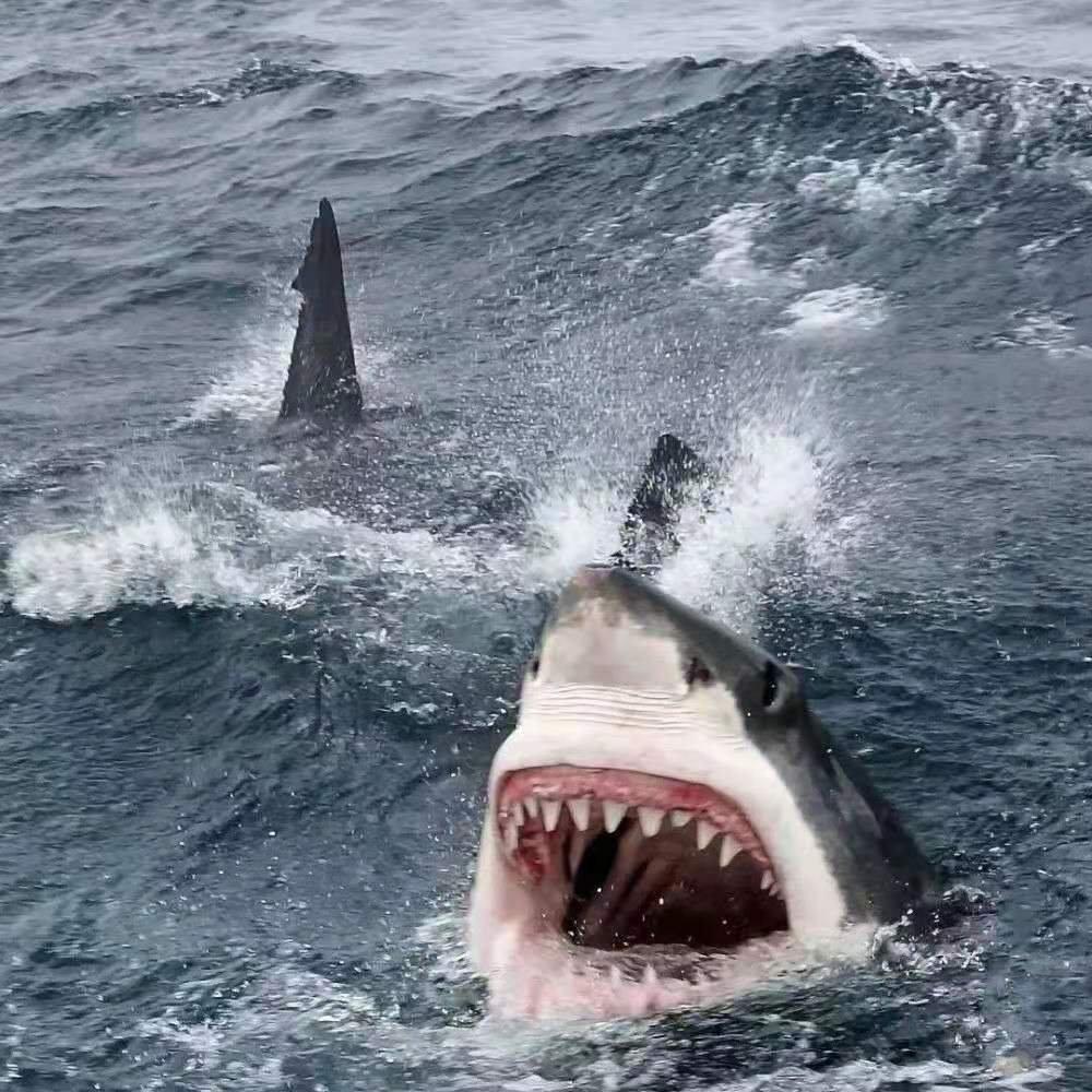 星野-等一下就回家，反返《Loop》（Yuri remix）