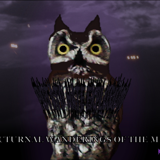 Nocturnal Wanderings of the Mind