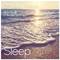 Sleeping at the Beach, Vol. 4专辑