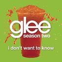I Don't Want To Know (Glee Cast Version)专辑