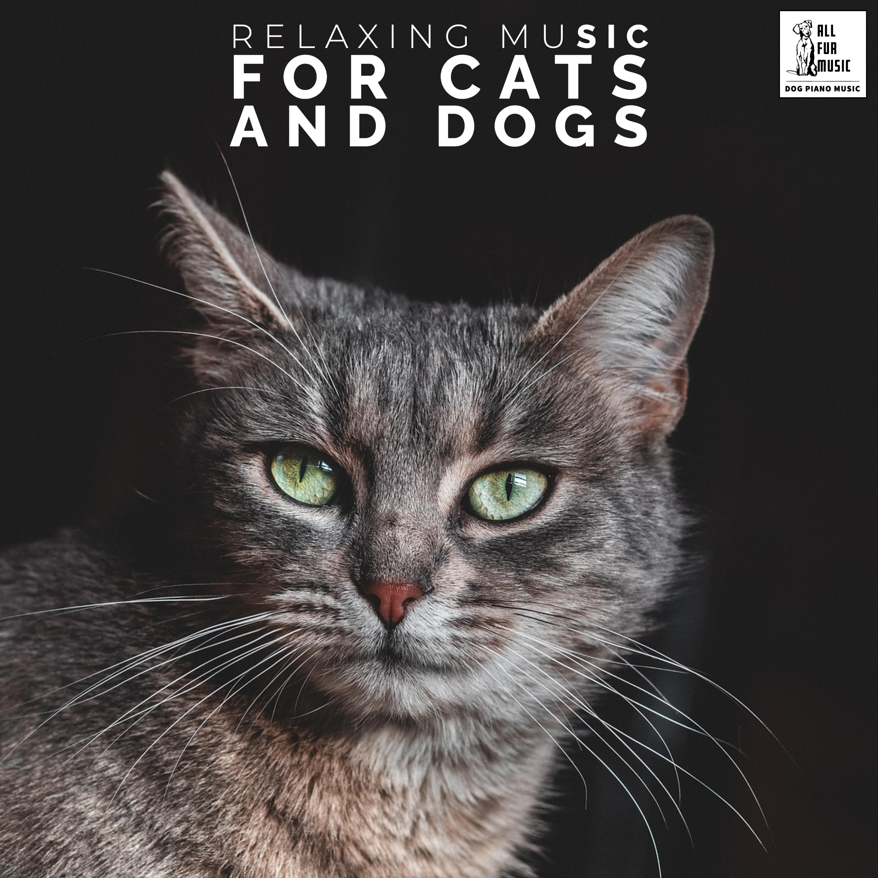 Relaxing Music For Cats And Dogs