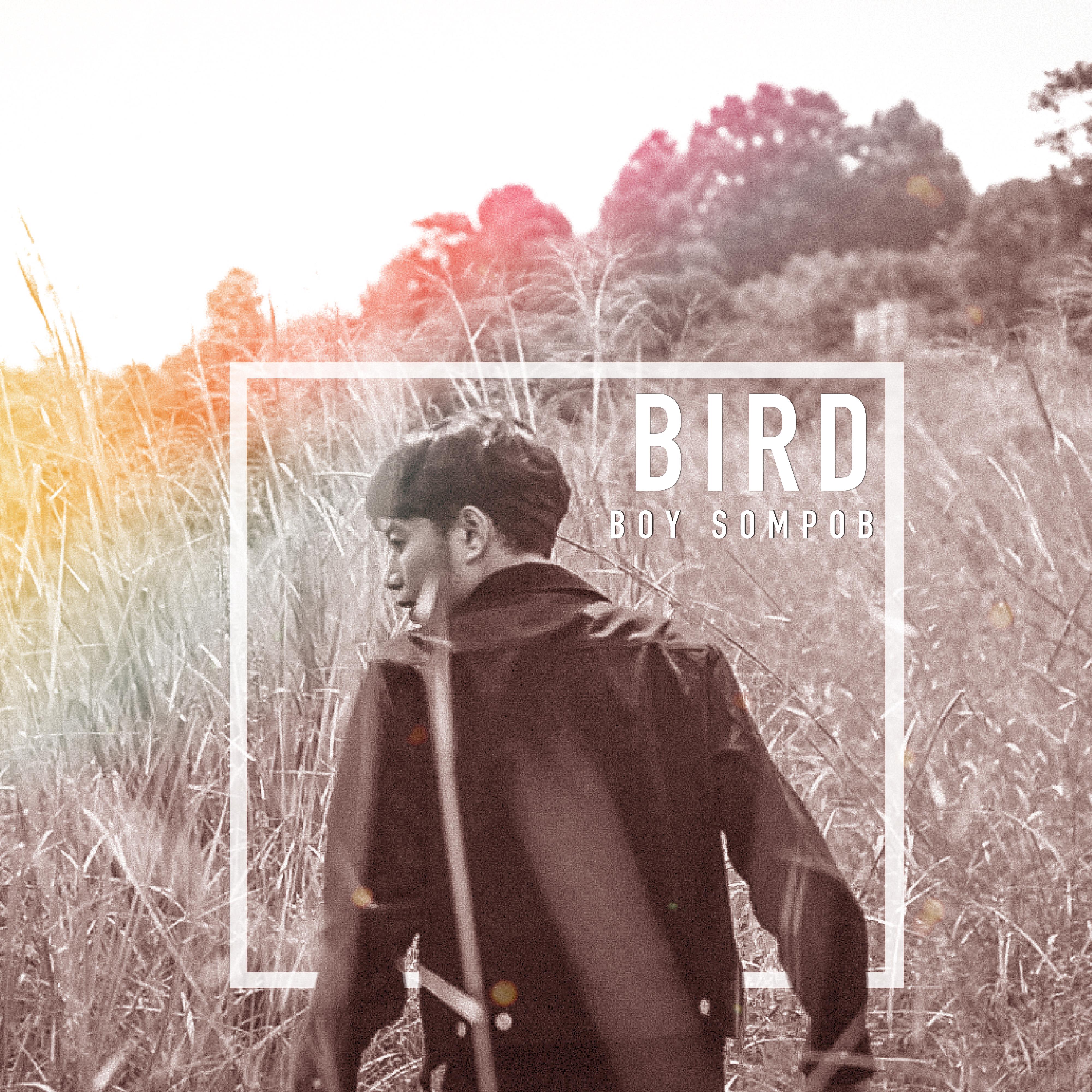 นก (BIRD)