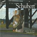 Schubert - Sonata para Piano专辑