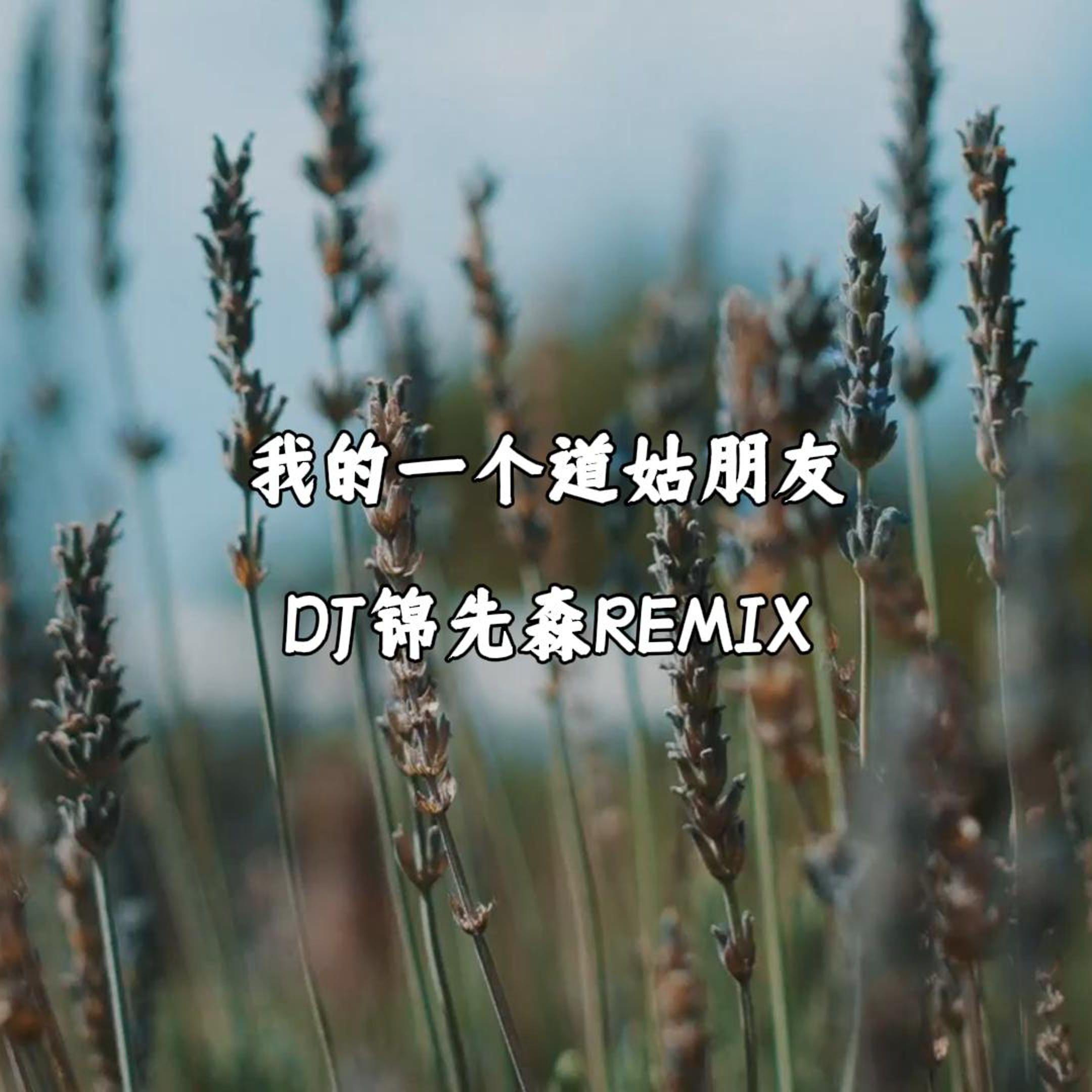 我的一个道姑朋友（DJ锦先森 Remix）