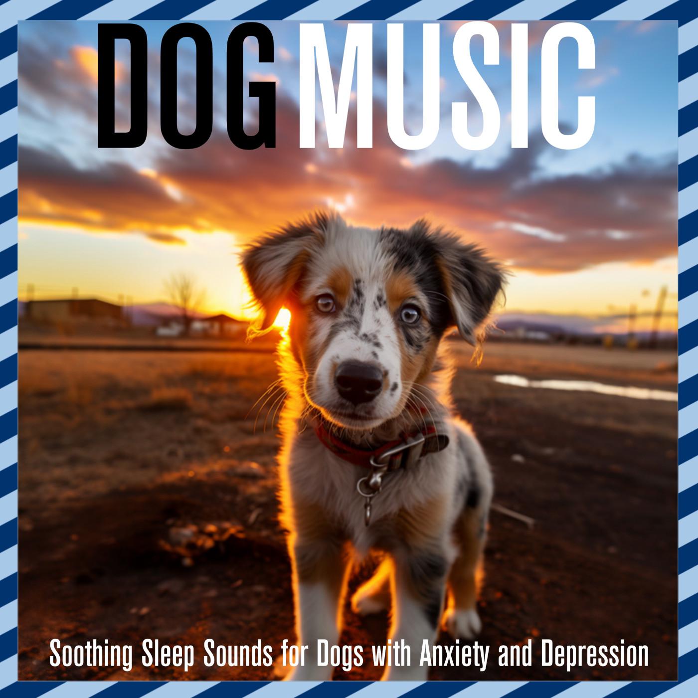 Dog Music Dreams - Morning Sunrise