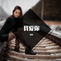 王莉-温暖岁月