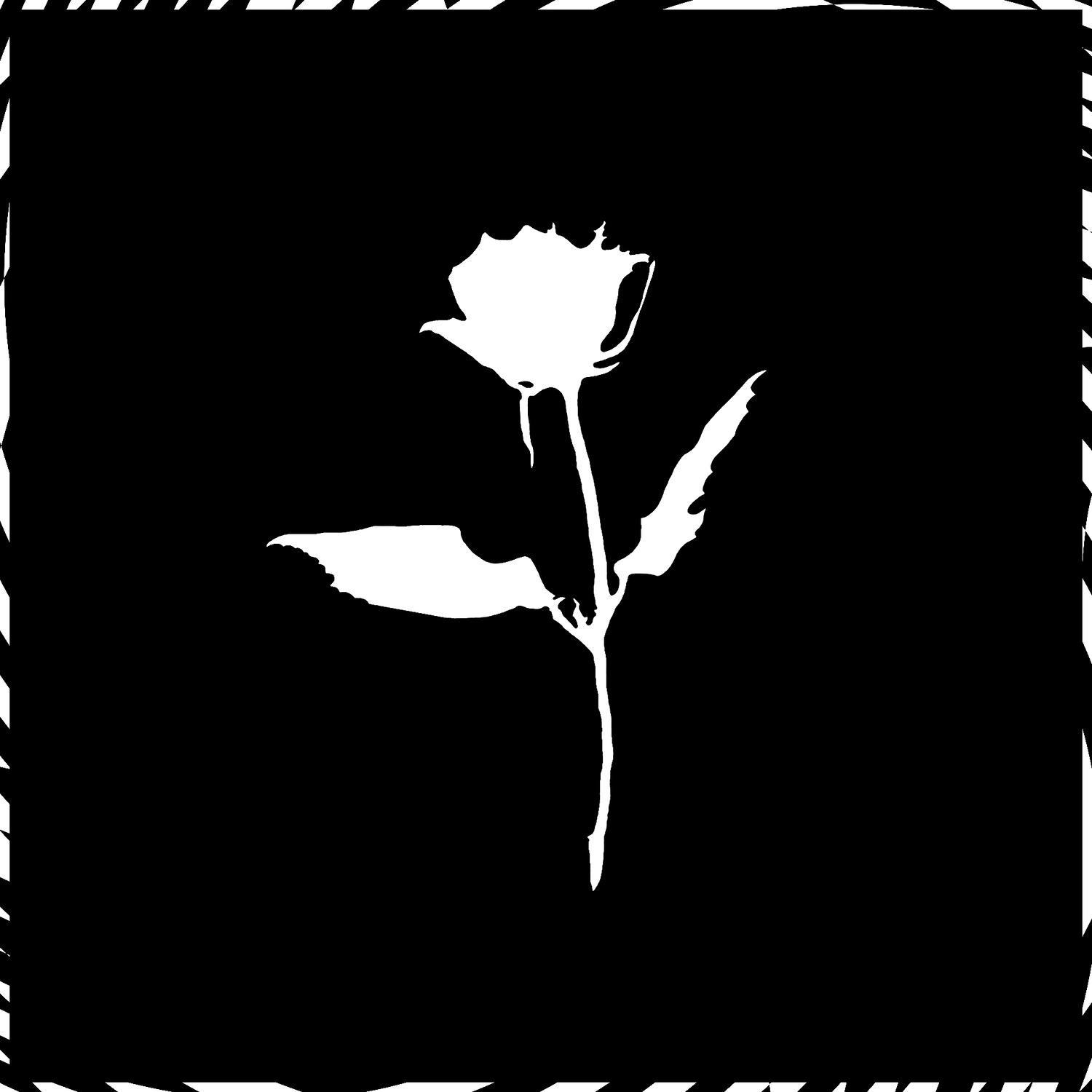 Rosethorn