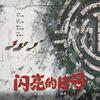 闪亮的日子 (电视剧《雪迷宫》插曲)专辑
