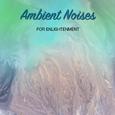 19 Relaxing, Ambient Noises for Enlightenment