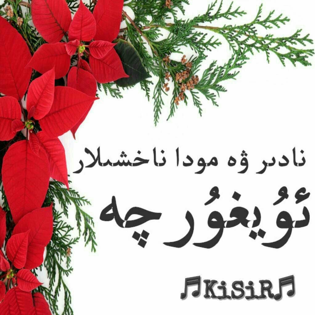 精选维族歌单-Uyghurqa Kuylar 