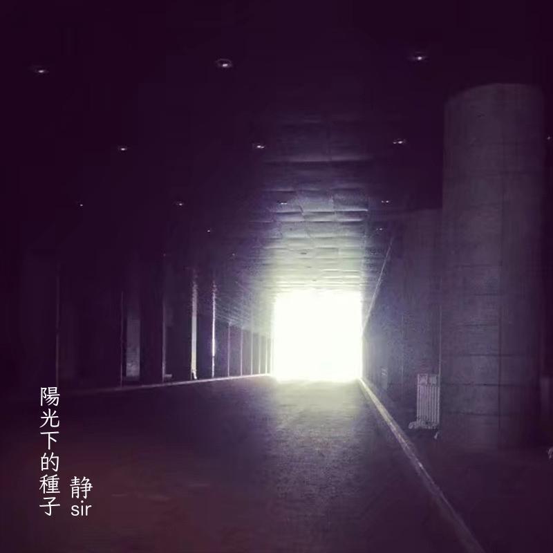 阳光下的种子