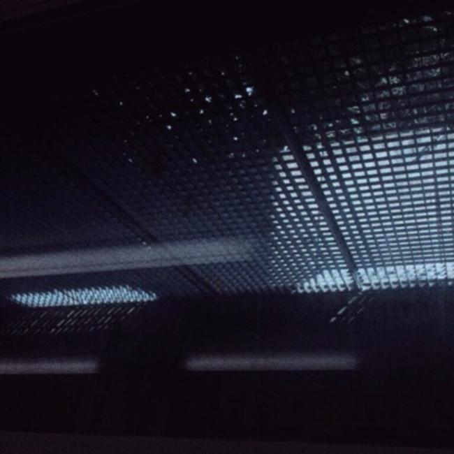 sat beside a palm rune