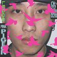 PINK PIGEON
