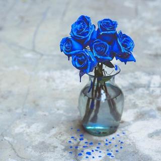 Sad Song|有时候放下是更好的选择