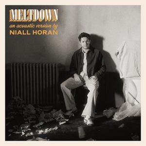 Niall Horan - Meltdown (Instrumental) 原版无和声伴奏 （降2半音）