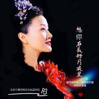 宋祖英 - 想你在美好月夜里(原版立体声伴奏)