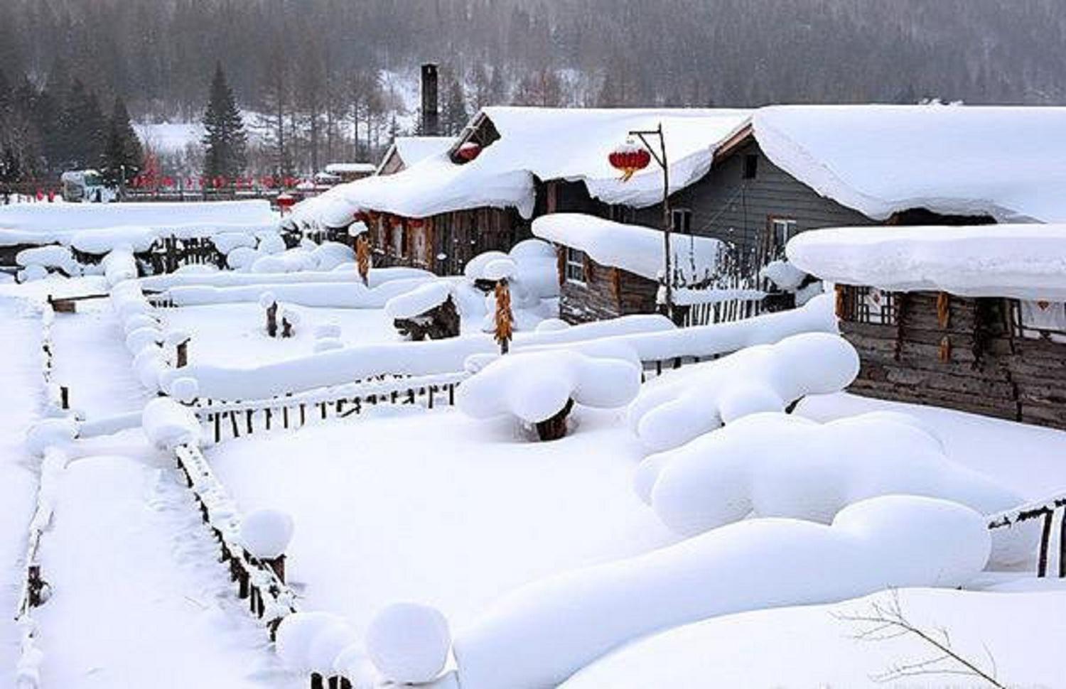 那年冬天的雪专辑