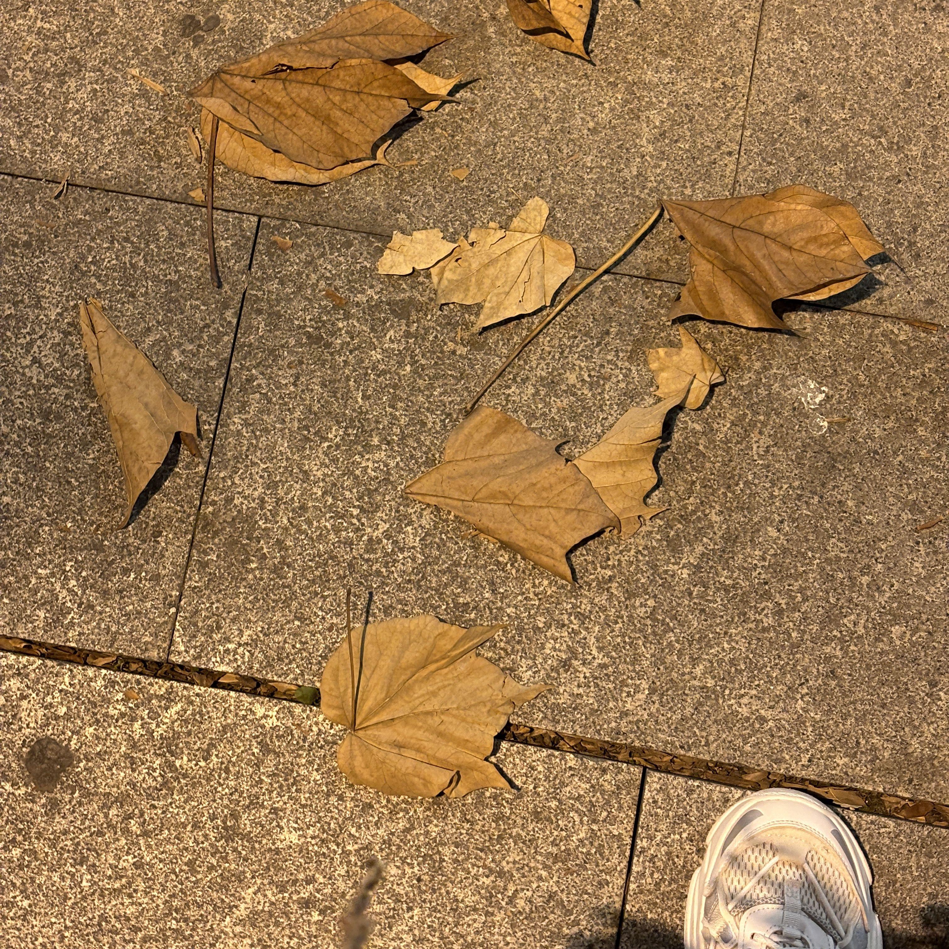 我想念