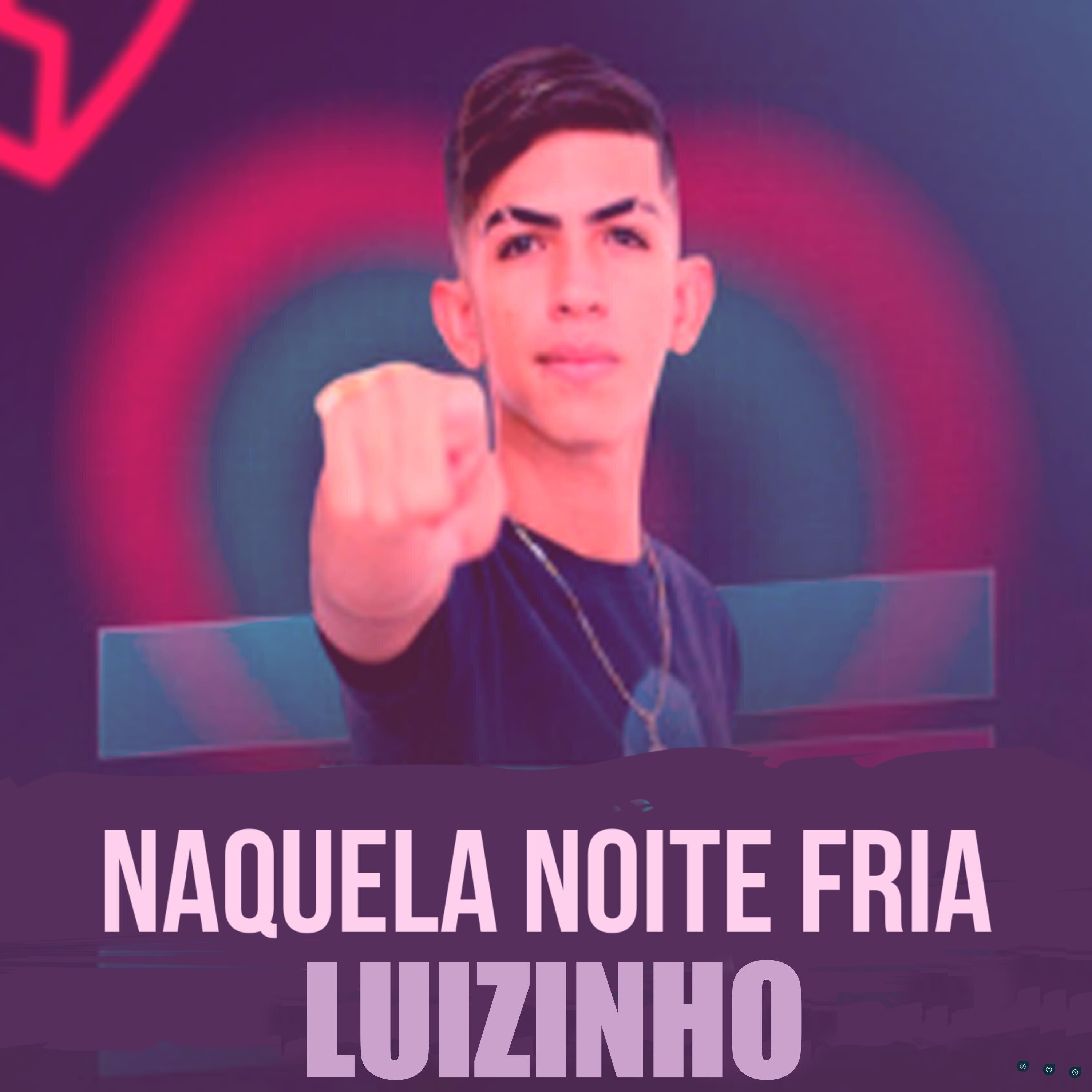 Luizinho - Naquela Noite Fria