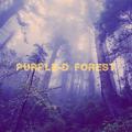 Purple-D Forest