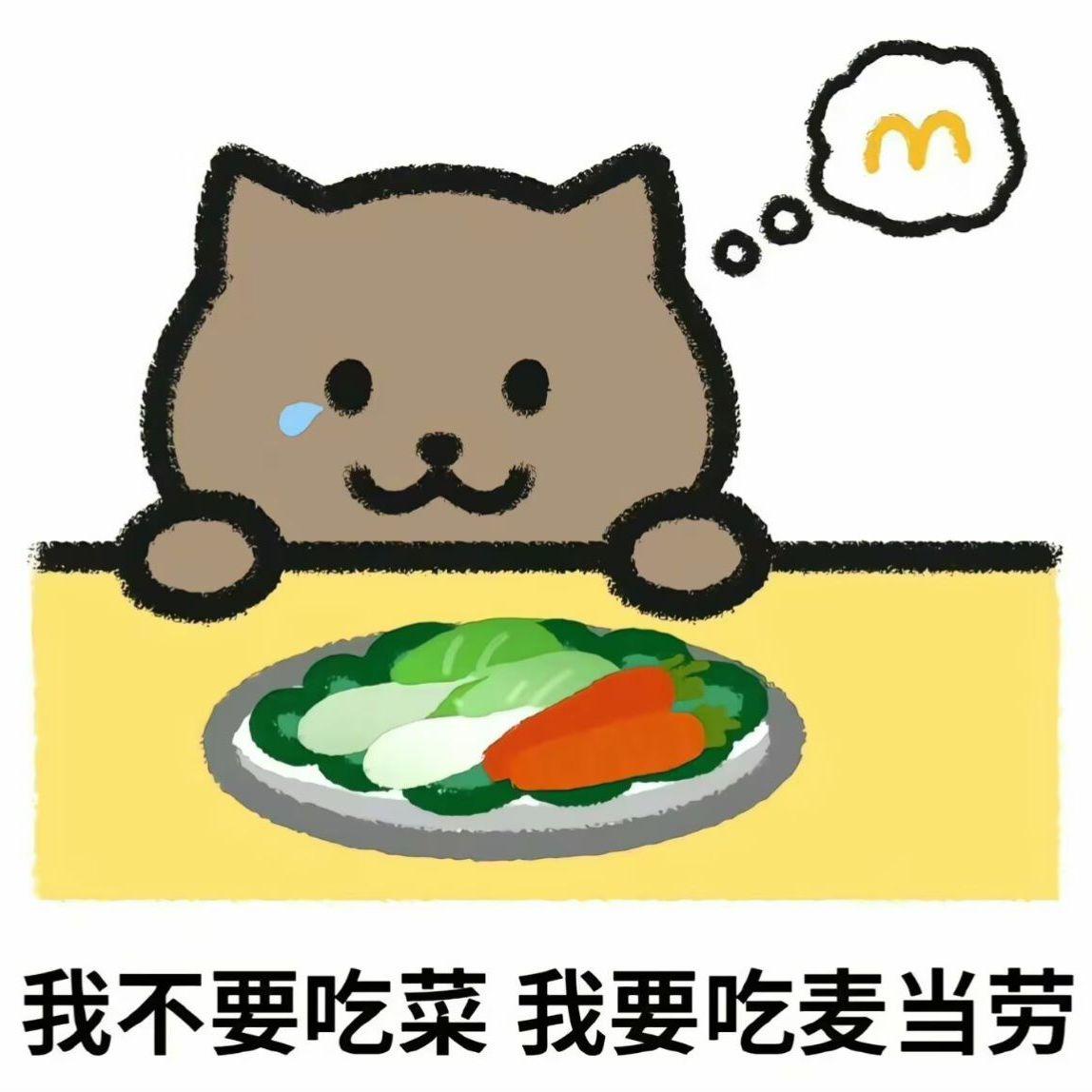 我不要吃青菜我要吃麦当劳