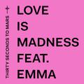 Love Is Madness