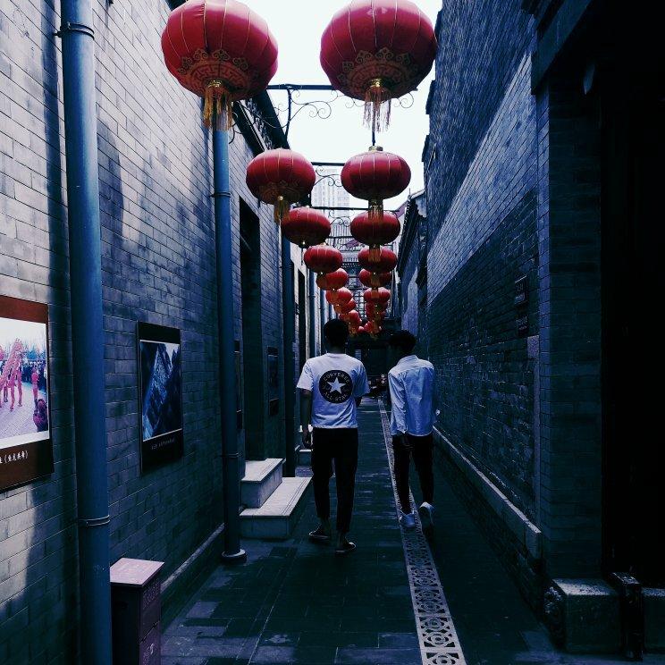 你努力逃避着人群/真的不害怕孤独吗【民谣