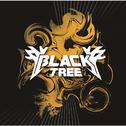 Black Tree Gorgeous专辑