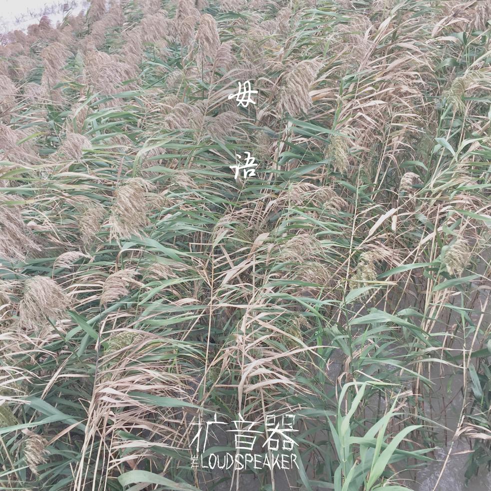 母语专辑