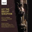 Let The Bright Seraphim专辑