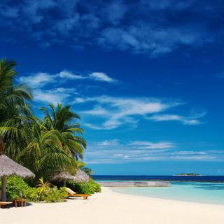 Tropical House‖从海边吹来清澈的风