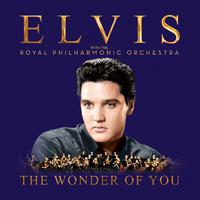 原版伴奏 Elvis Presley & The Royal Philharmonic - Let It Be Me (karaoke Version)