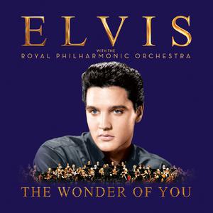 Love Letters - Elvis Presley (PT karaoke) 带和声伴奏
