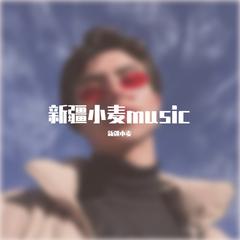 如果我是DJ你会爱我吗 (DJ版)