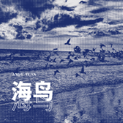 海鸟
